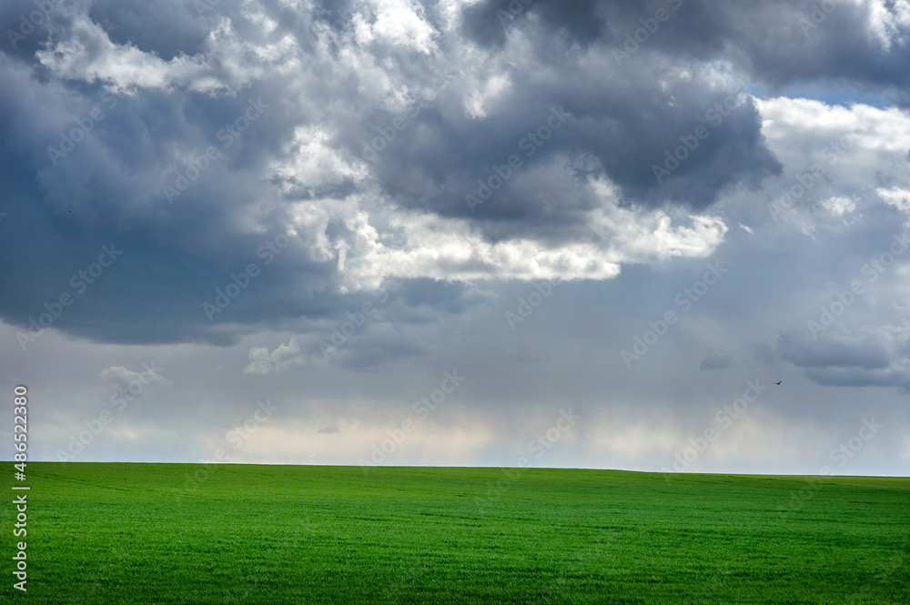 Beautiful storm clouds over green spring field Beautiful storm clouds over green spring field
