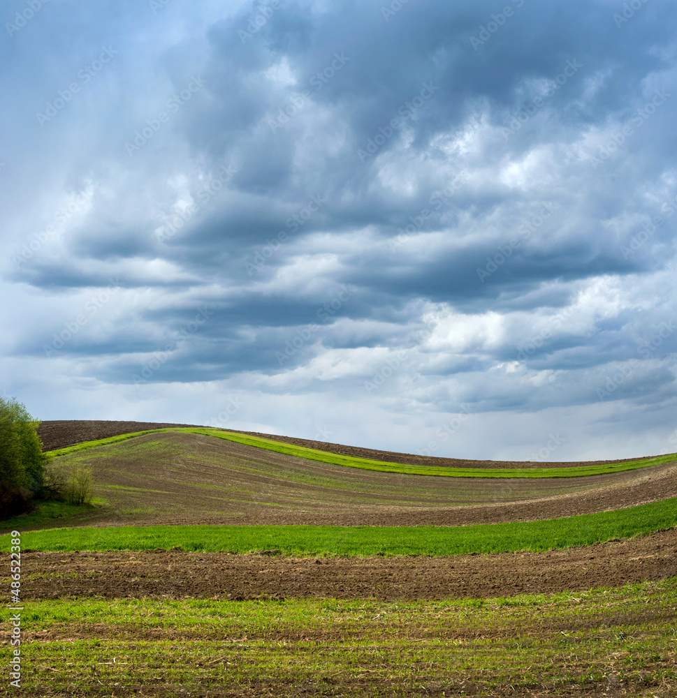colored lines and hills of spring fields under a beautiful sky with contrasting clouds. The concept of agriculture in the spring