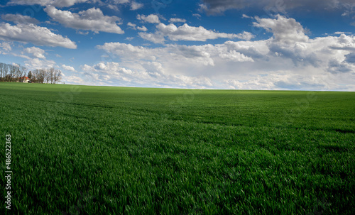 panoramic view of green wheat field and picturesque sky with storm clouds in ...