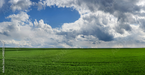 panoramic view of green field with picturescue sky with clouds at springtime,...