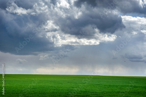 Beautiful storm clouds over green spring field