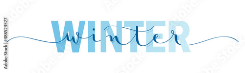 WINTER blue vector mixed typography banner with brush calligraphy
