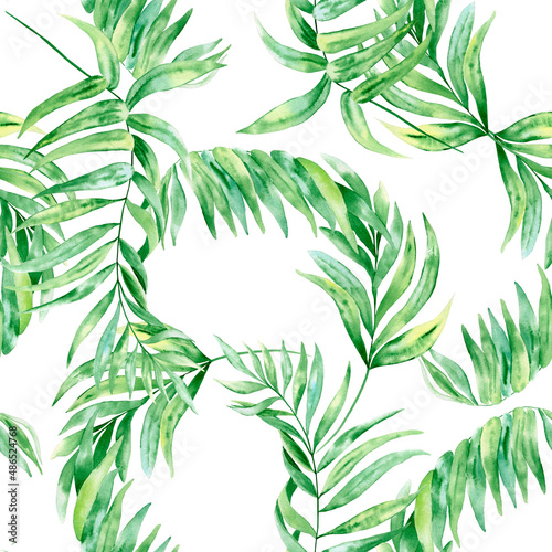 Chamaedorea palm leaf watercolor seamless pattern. Botanical illustration of tropical green foliage on isolated background. Exotic backdrop. Summer fabric. Wrapping paper. Wallpaper