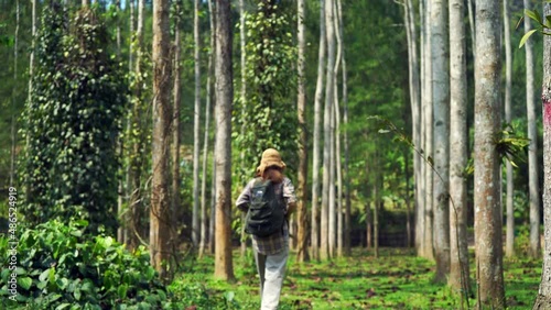 Young asian woman walking in forest with backpack.