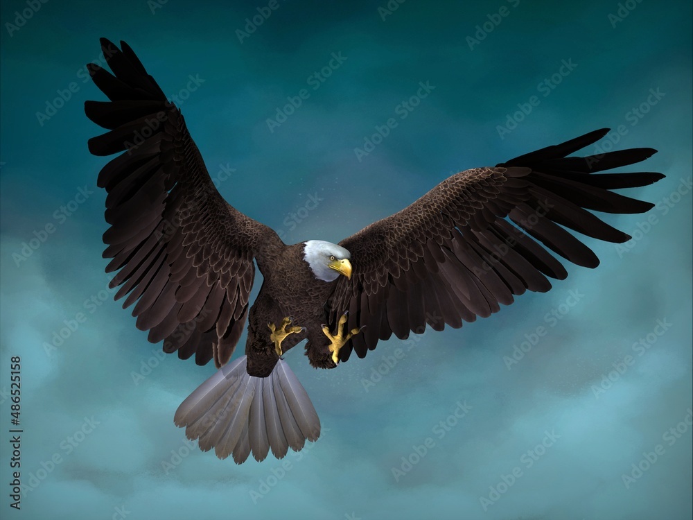 Obraz premium Bald eagle close-up. 3d illustration (7)