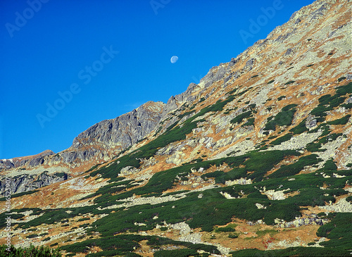 Five Polish Ponds Valley 