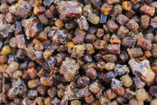 Bee pollen product close-up. bee bread