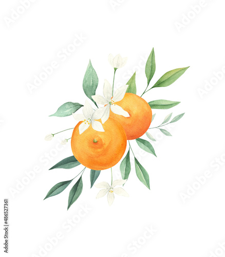 Orange citrus watercolor bouquet isolated on white background. Summer citrus watercolor print. 