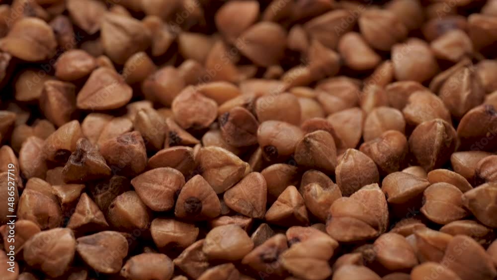 Buckwheat. Camera slowly pans down to show beautiful buckwheat. Macro shot Buckwheat. Camera slowly pans down to show beautiful buckwheat. Macro shot