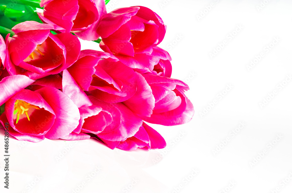 Fototapeta premium Bouquet of pink tulips isolated on white background with clipping path