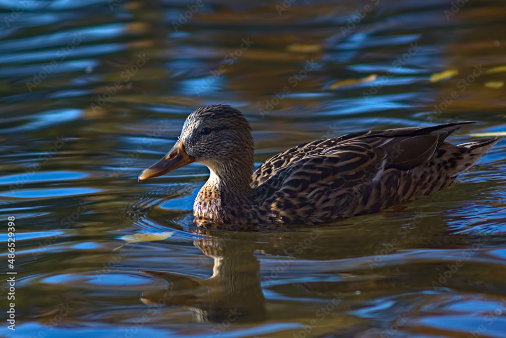 _DSC20131012B6 _DSC20131012B6