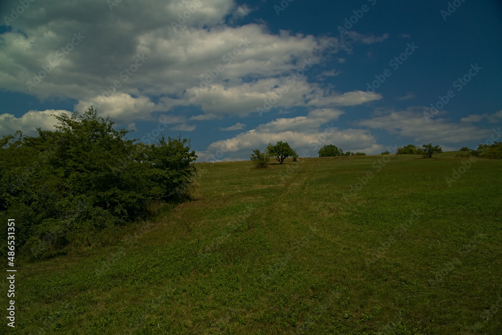 _DSC20130811n20 _DSC20130811n20