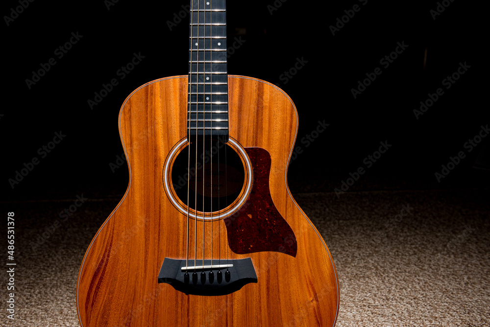 Obraz premium アコースティックギター