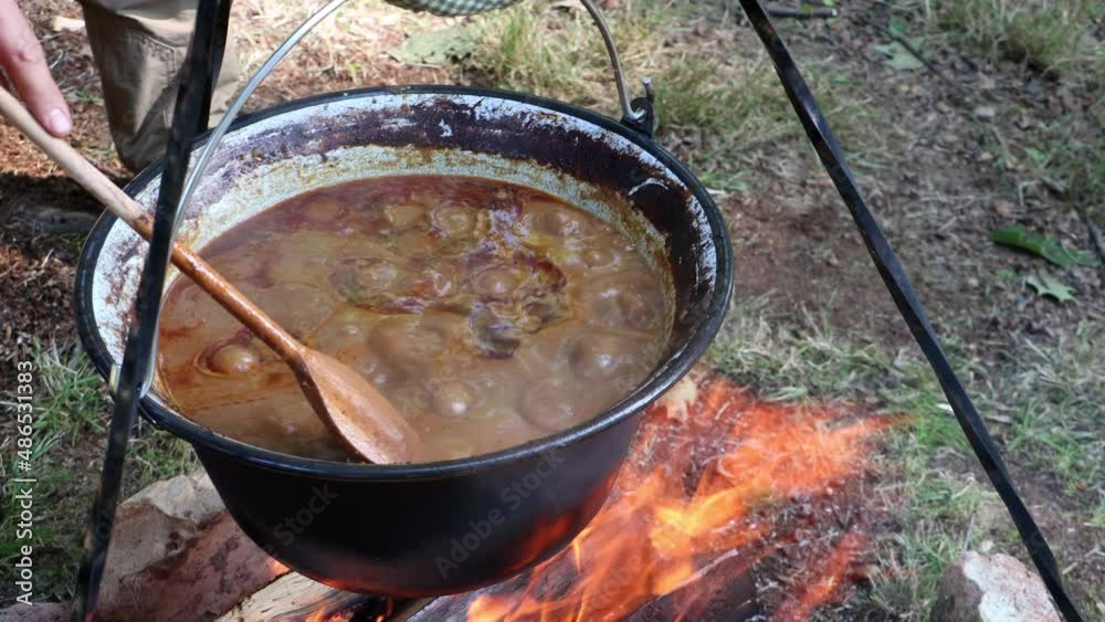 Cooking deer stew in a cauldron on an open fire in nature Cooking deer stew in a cauldron on an open fire in nature