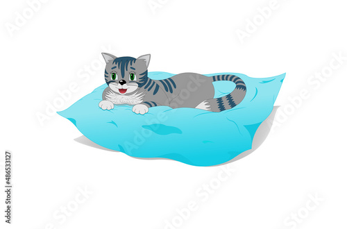 Cute kitten on pillow with sweet dreams