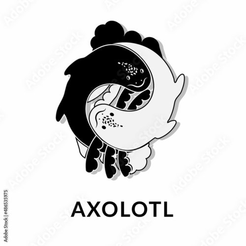 Cute axolotl, Ambystoma mexicanum, vector icon in monochrome. Yin and Yang. White and black axolotl. Logo in a fashionable linear style.