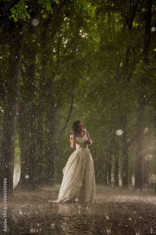 Fototapeta premium happy bride in a white wedding dress in the rain on an alley under big green trees walking peaying sitting and laughing
