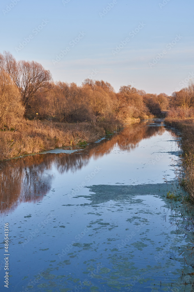 A walk along the bank of the Snezhet River. Late autumn.