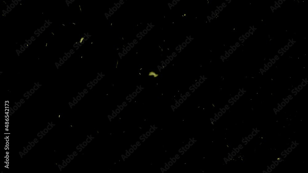 Real Phosphorescent bright green bugs against dark background, good for overlay