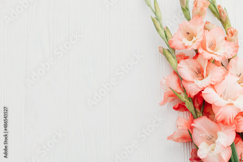 Floral greeting card template. Beautiful gladiolus flowers on rustic white wood, flat lay with space for text. Happy Mothers day and Womens day. Stylish red pink gladioluses. Hello spring © sonyachny