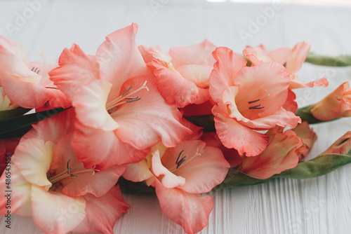 Beautiful gladiolus flowers on white wood. Happy Mothers day and Womens day. Stylish red pink gladiolus petals close up. Spring wallpaper. Floral greeting card template © sonyachny