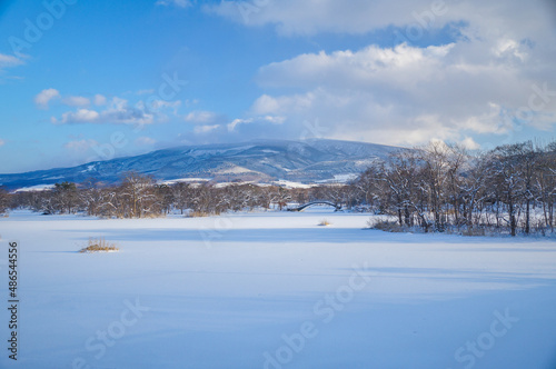 冬の湖 北海道 七飯町 大沼公園 01