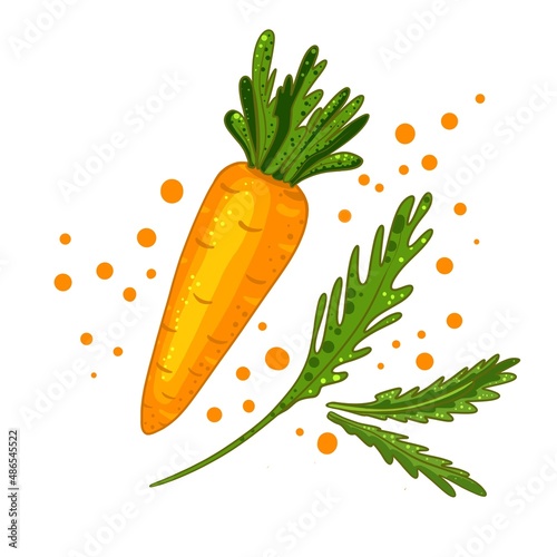 Set carrots with leaves isolated on a white background
