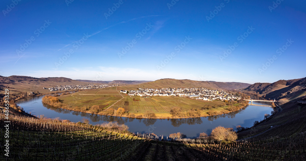 Naklejka premium scenic moselle river loop with village Trittenheim seen from Leiwen