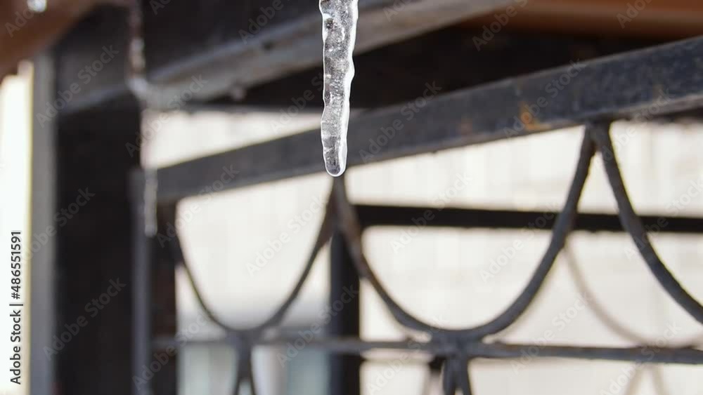 Icicles in the sunlight. Melting snow, spring.