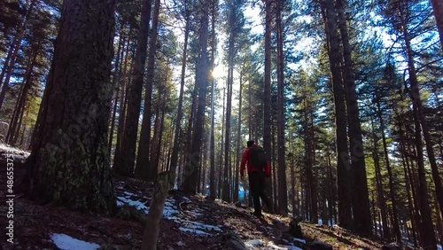 Camper man with backpack walking towards the sun coming through the trees in the forest in winte