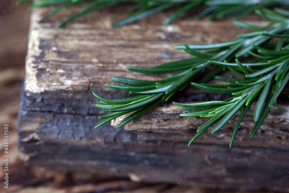 Rosemary on a wooden board in the kitchen Rosemary on a wooden board in the kitchen