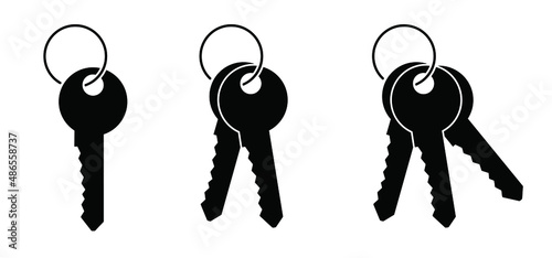 Pplastic keyring and label. Empty label for hotel ( password ). Work, home or house bunch key. Cartoon cylinder key icon or symbol. Door keys.