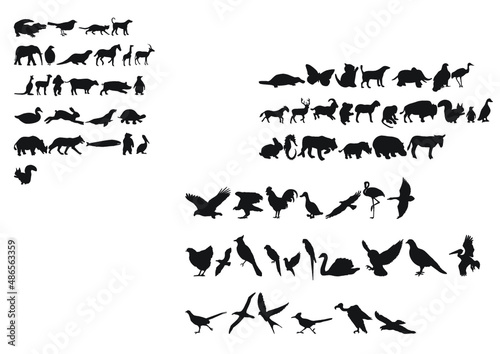 set sagome animali mammiferi uccelli savana elefante cervo ovipari serpenti pesci