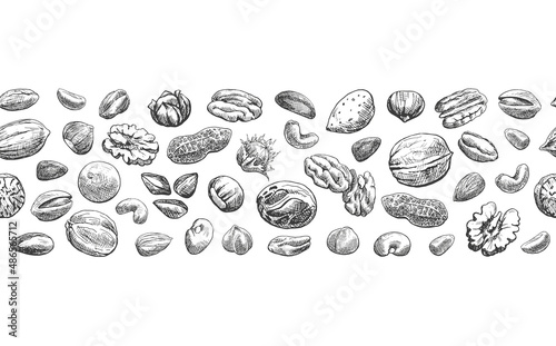 Seamless border of nuts. Hand drawn elements. Sketch almond, brazil nut, nutmeg, macadamia, cashew, pecan, peanut, pistachio, chestnut.Vector Illustration for design package, menu