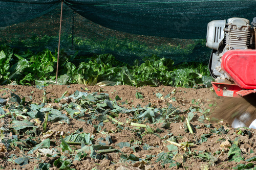 Wallpaper Mural Moticultor arando huerto Torontodigital.ca