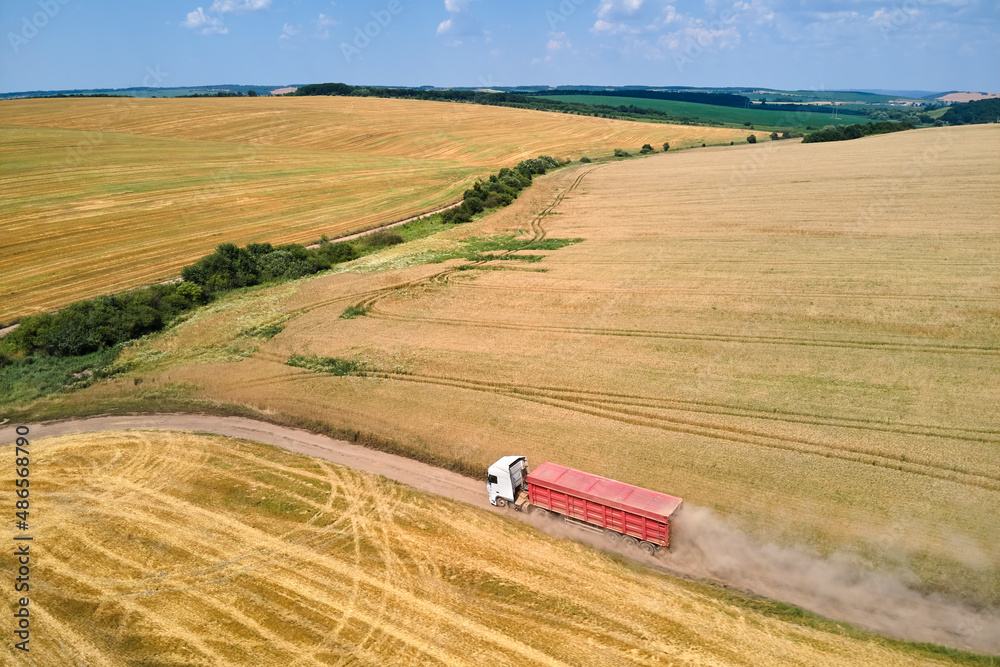 Obraz premium Aerial view of cargo truck driving on dirt road between agricultural wheat fields making lot of dust. Transportation of grain after being harvested by combine harvester during harvesting season