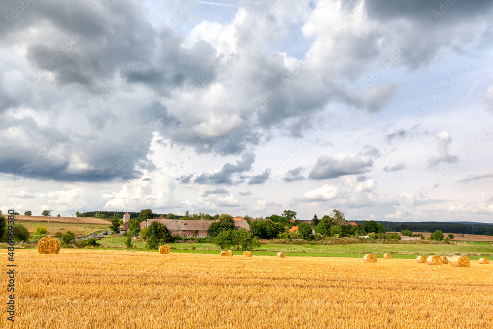 Fototapeta premium Feld mit Strohrollen im Harz