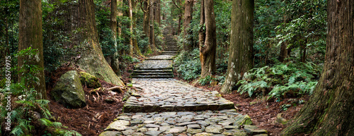 Panoramic view of the ancient Daimon-zaka staircase leading up to Mt. Nachisan, Wakayama Prefecture, Japan