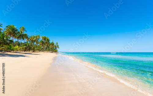 Sea tropical beach with turquoise sea waves. Open blue sky over green palm trees. Beautiful palm trees on white sand. Summer on the Maldives beach.