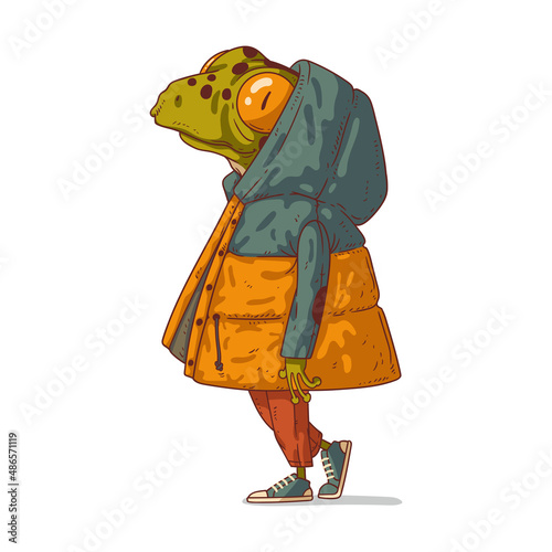 A dreamy frog in profile admiring something, isolated vector illustration. Cute anthropomorphic frog wearing a down jacket, standing in profile and looking up. An animal character with a human body