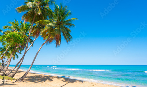 Caribbean coast with palm sandy beach on a sunny morning. Green coconut palms against the blue sky and turquoise sea waves. Tropical empty ocean beach. © murkalor7