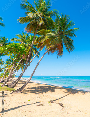 Turquoise sea waves at the Bahama Palm Beach. Blue sky background for green palms. Sea voyage to tropical paradise. Landscape of the island beach.