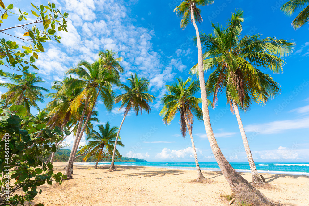 Summer sea beach with white sand and green palm trees. Palm leaves against a blue cloudy sky. Blue sea waves near the sandy coast. Beautiful tropical seascape. Summer sea beach with white sand and green palm trees. Palm leaves against a blue cloudy sky. Blue sea waves near the sandy coast. Beautiful tropical seascape.