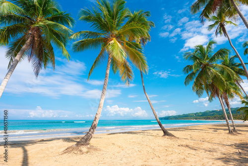 Fototapeta Naklejka Na Ścianę i Meble -  Landscape of a palm beach on a summer day. Tropical background of palm island. Caribbean azure sea water and blue sky. Paradise place for lovers. Summer holidays on the sea coast.