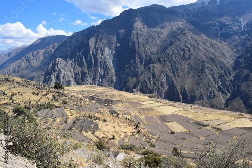 Naturaleza - Arequipa