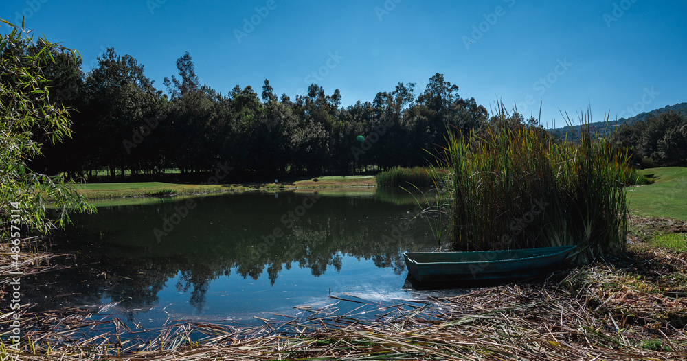 Obraz premium Golf course landscape with short green grass, some hills, water traps and trees.