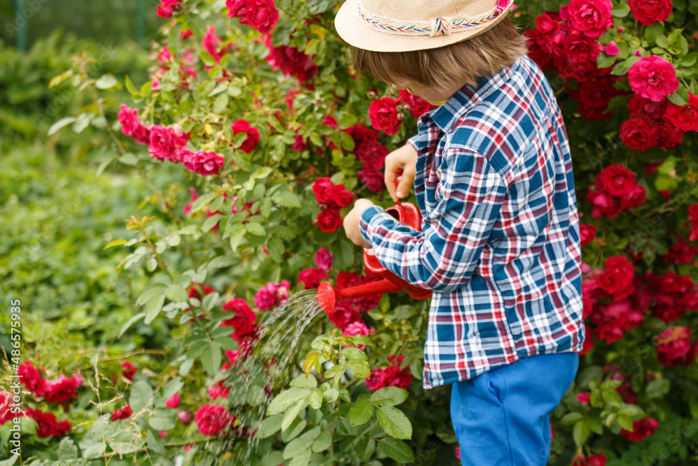 Child with a watering can. Boy takes care of garden plants. Spring work in the garden. Kid helps parents