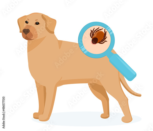 vector illustration of a dog with a tick shown in close-up. The problem of blood-sucking parasites and insects carrying diseases