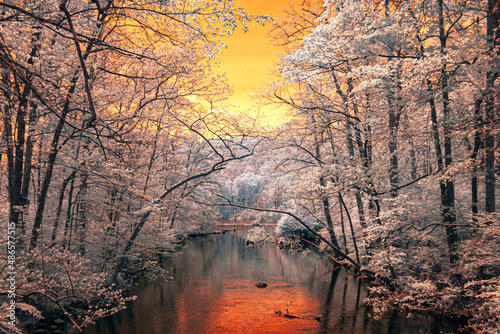 Stream flowing through the forest in infrared