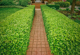 A formal red interlocking tile walkway bordered by a mature boxwood hedge and well manicure formal garden
